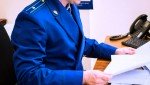 В Парфино по материалам проверки прокуратуры возбуждено уголовное дело о мошенничестве